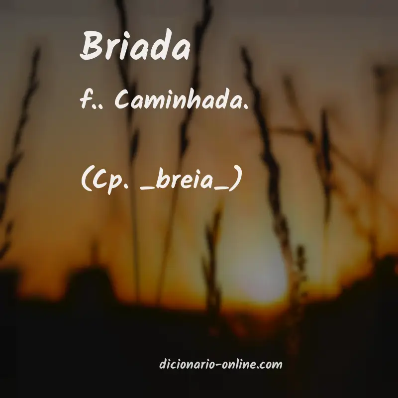 Significado de briada