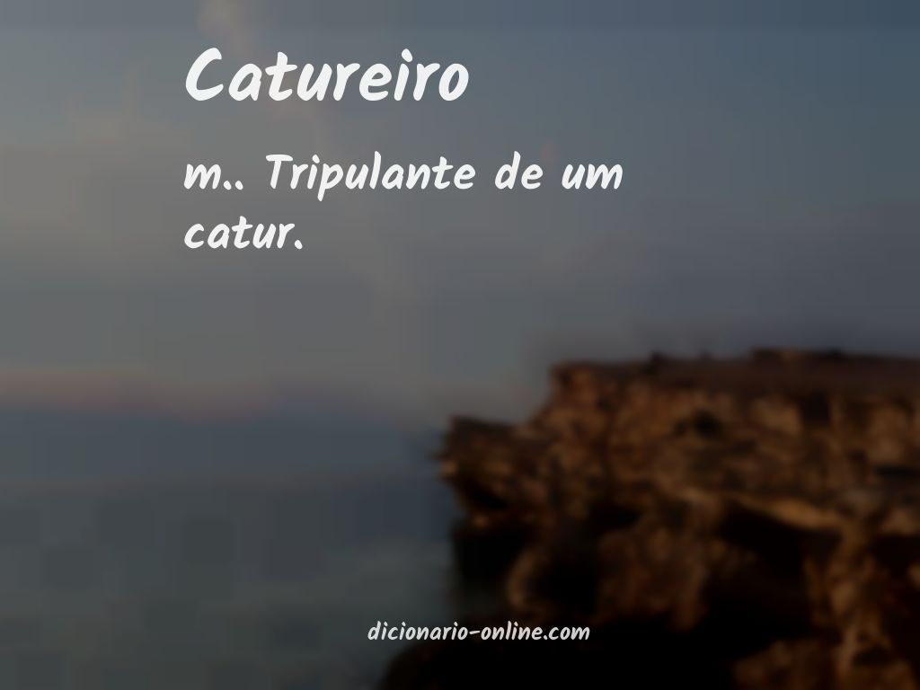 Significado de catureiro