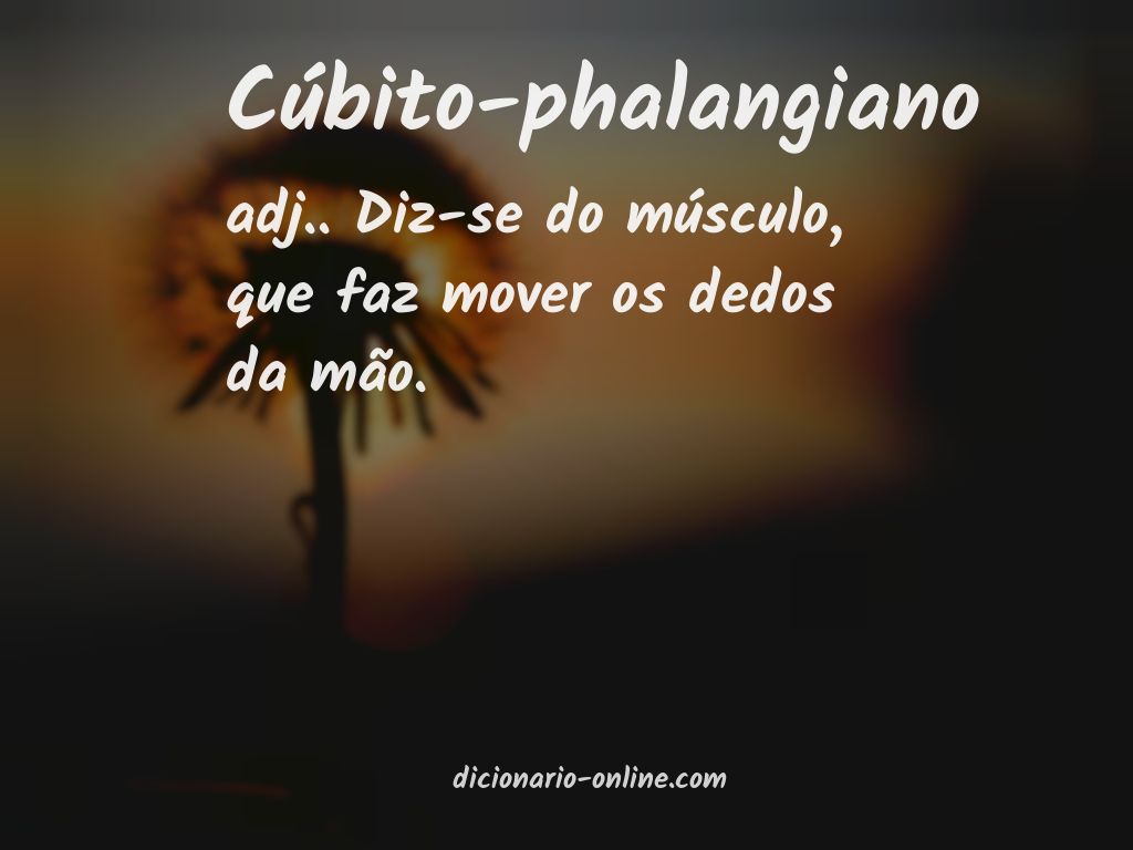 Significado de cúbito-phalangiano