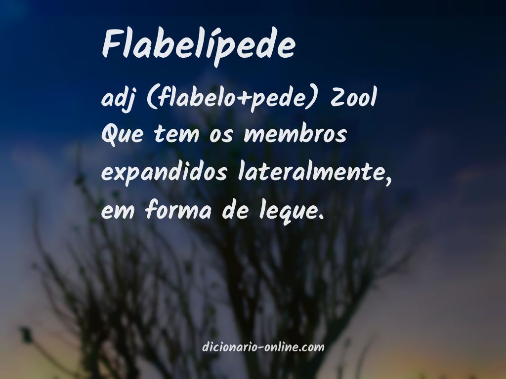 Significado de flabelípede