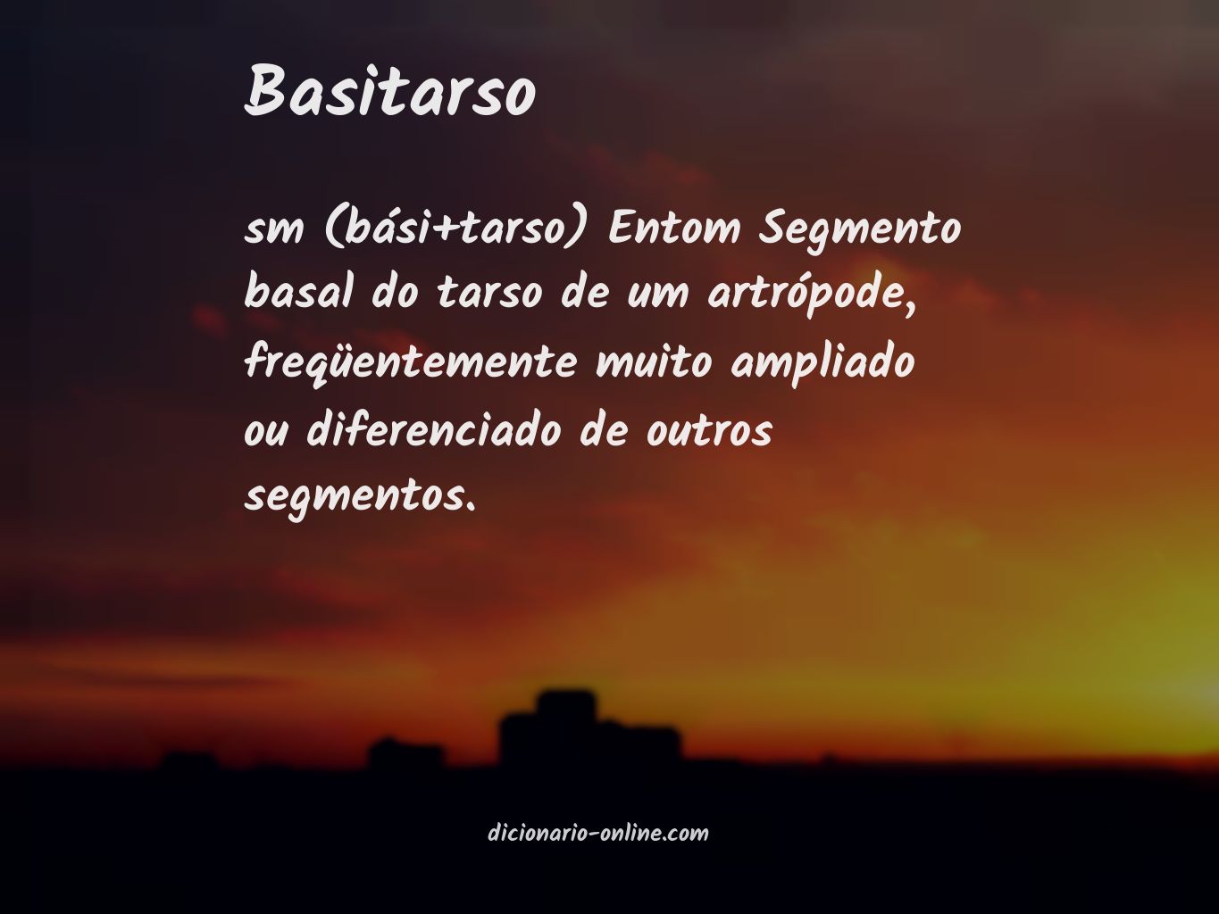 Significado de basitarso