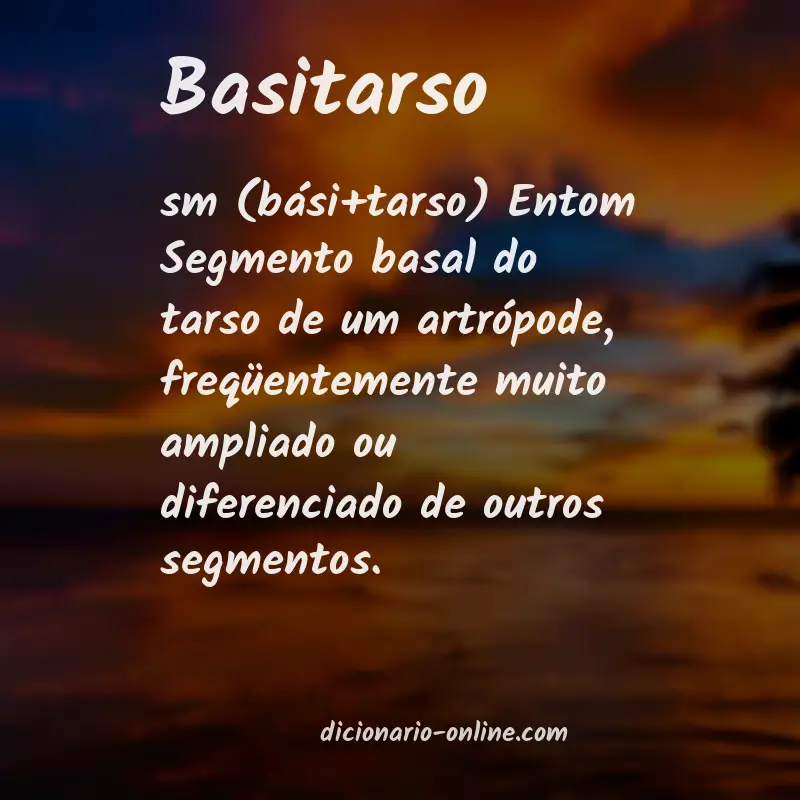Significado de basitarso