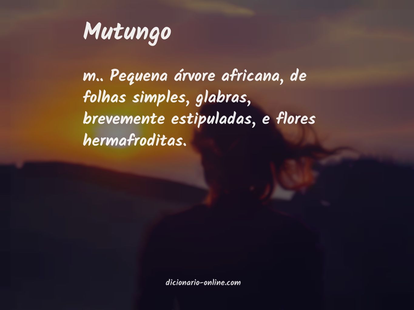 Significado de mutungo