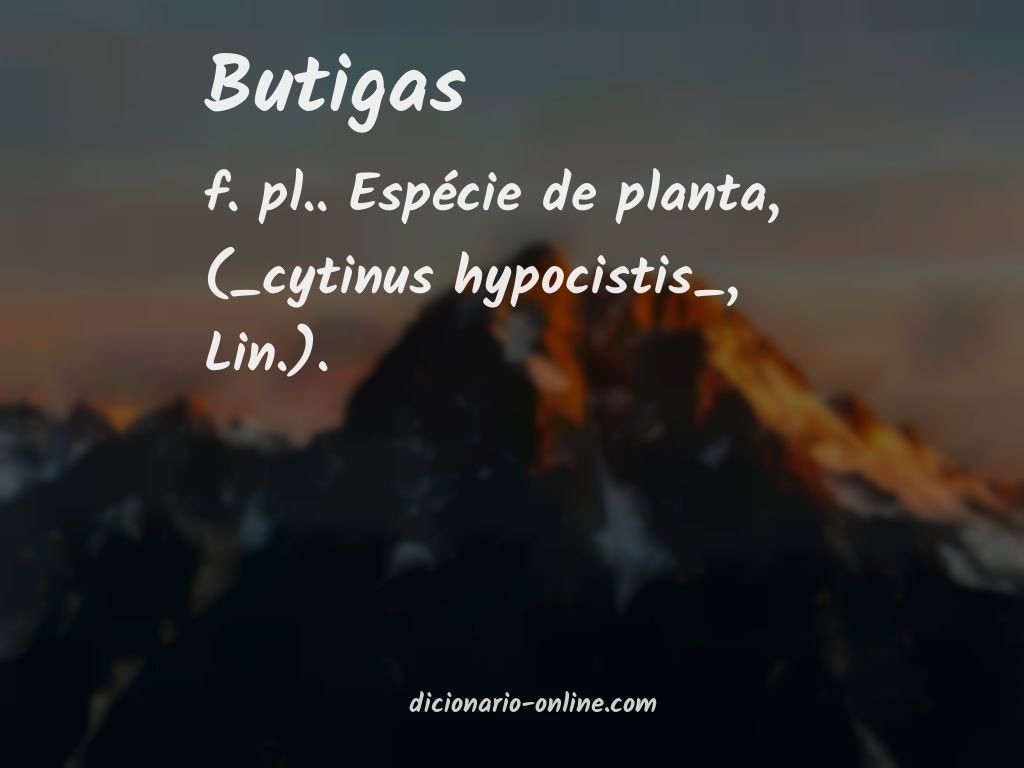 Significado de butigas