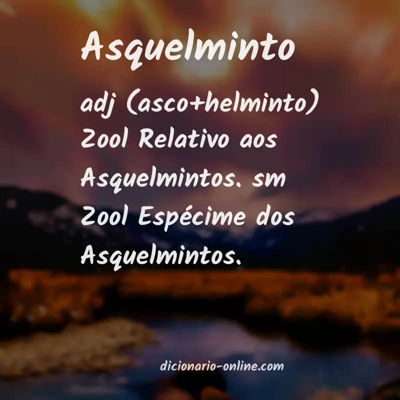 Significado de asquelminto
