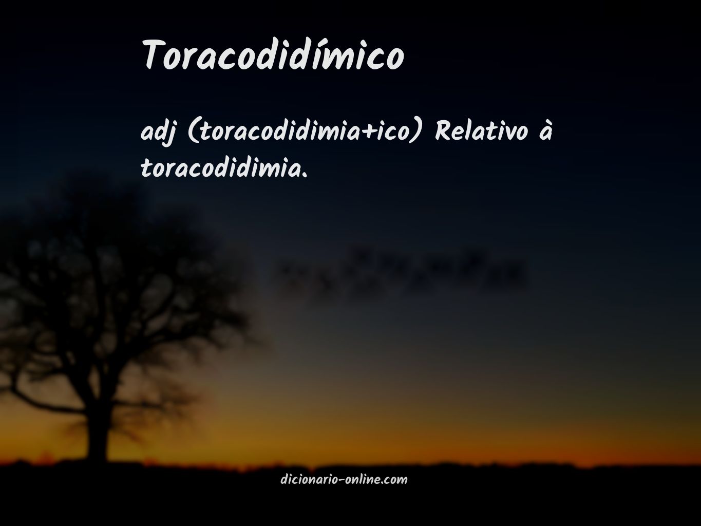 Significado de toracodidímico