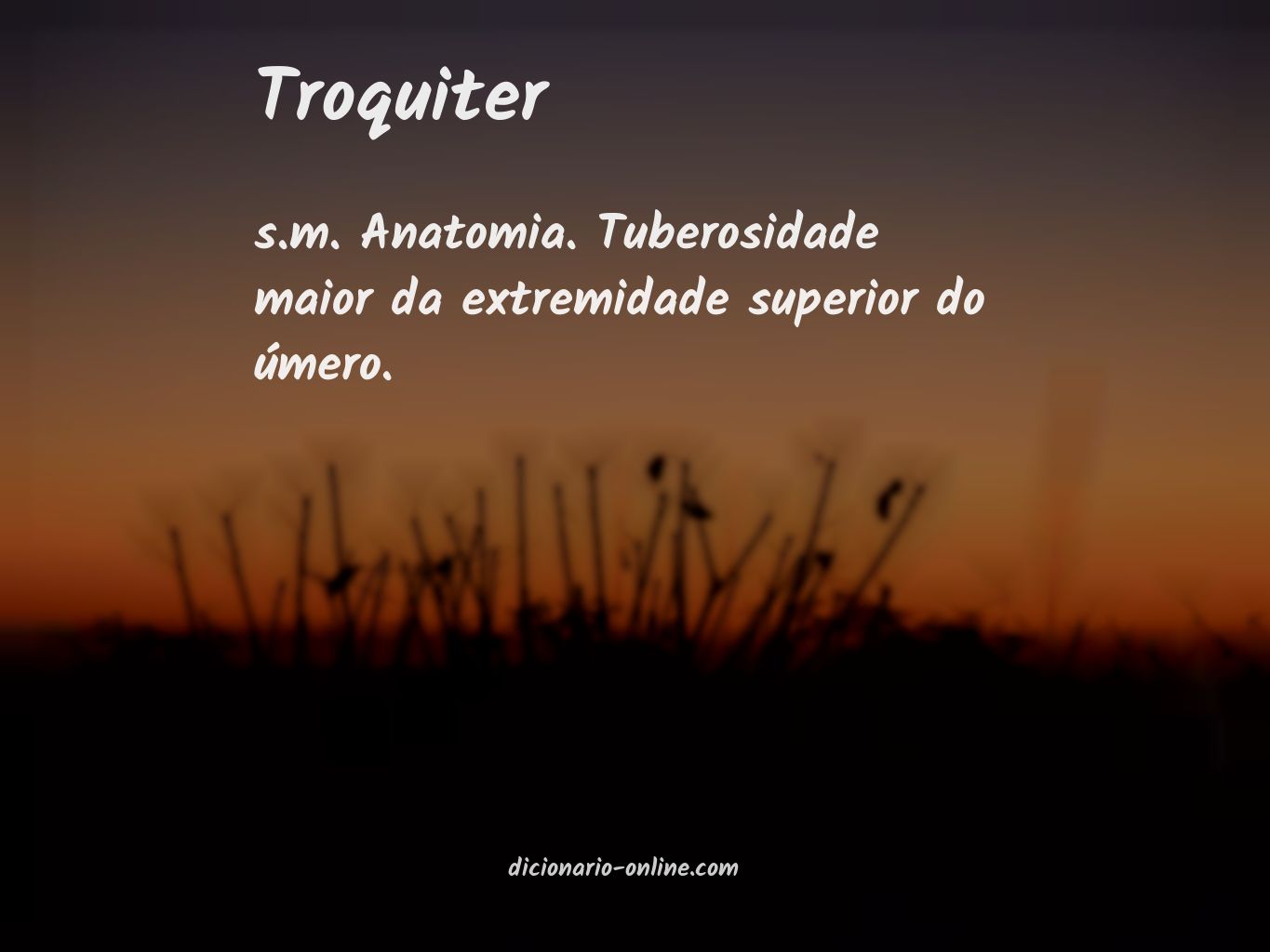 Significado de troquiter