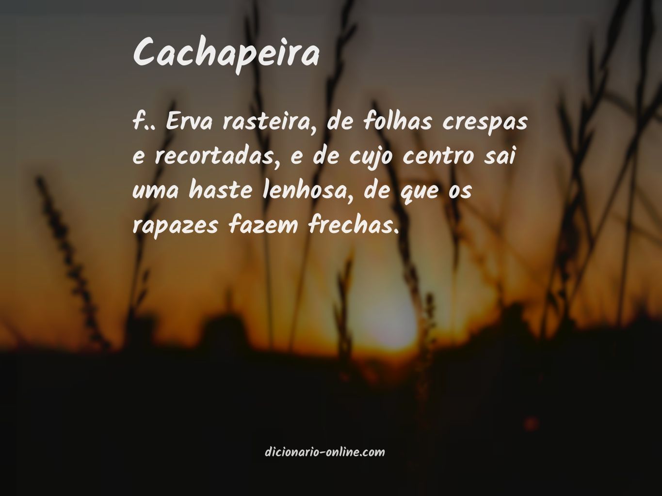 Significado de cachapeira