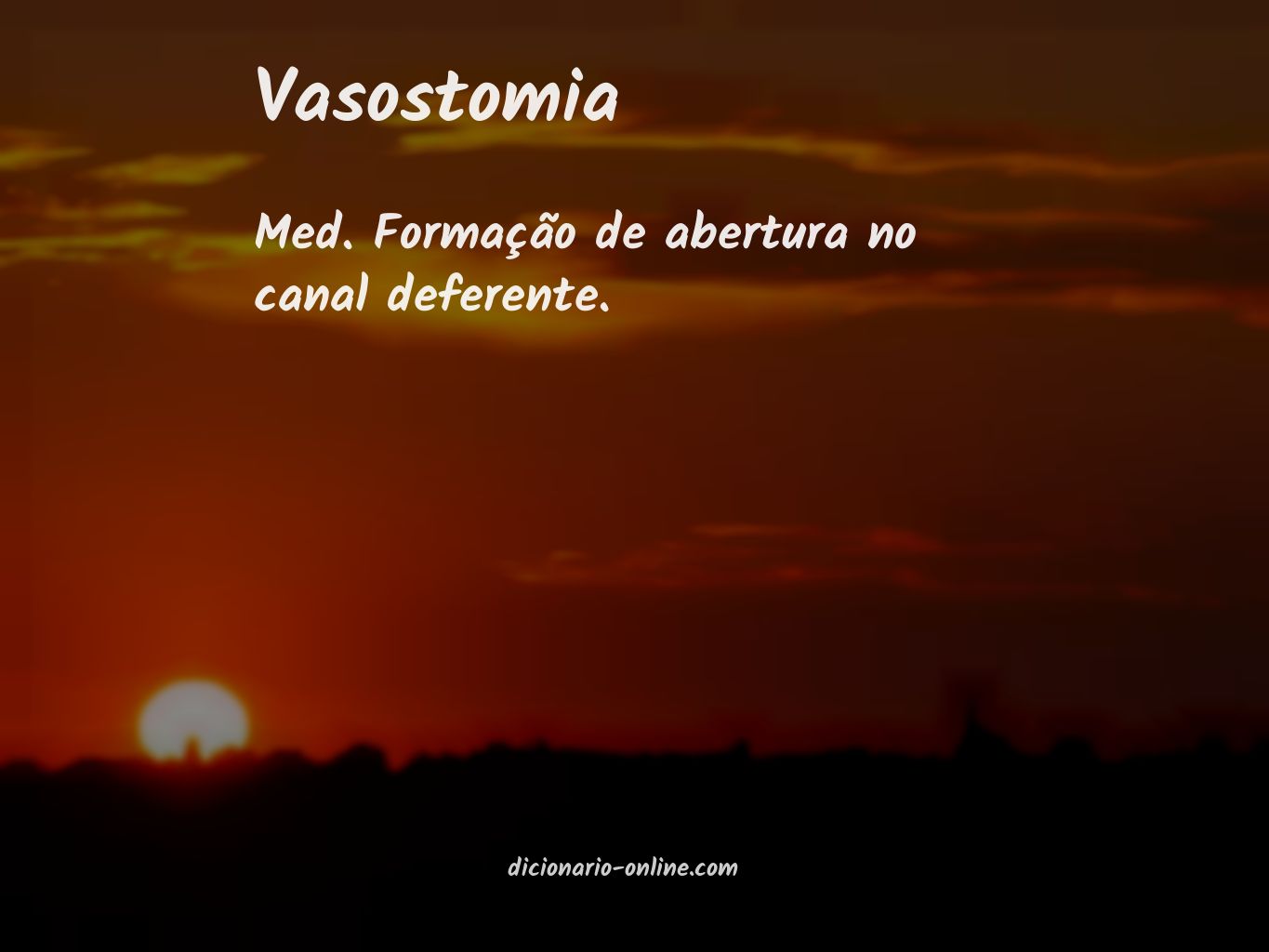 Significado de vasostomia