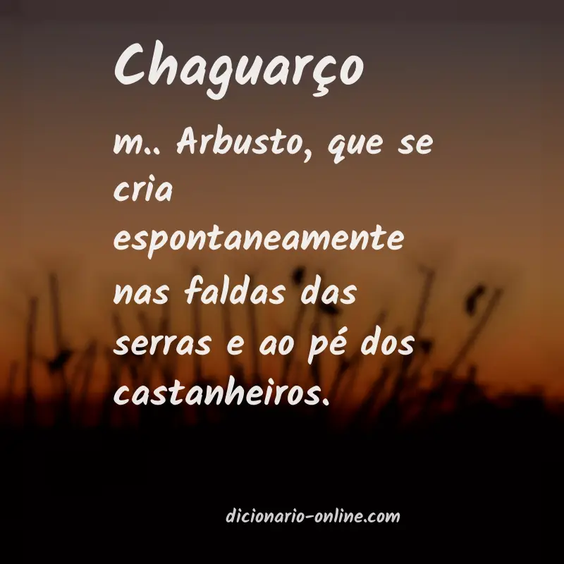 Significado de chaguarço