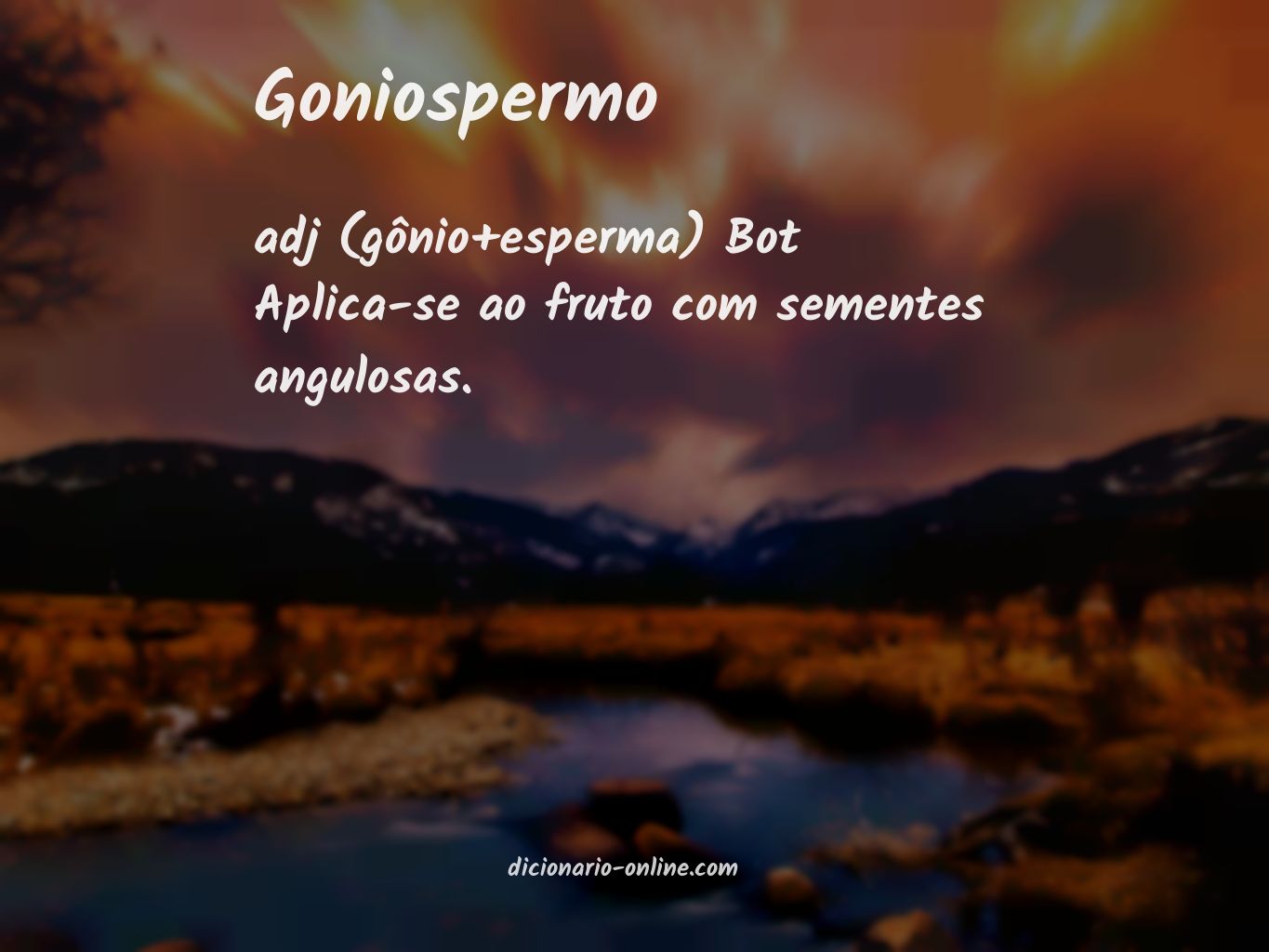 Significado de goniospermo