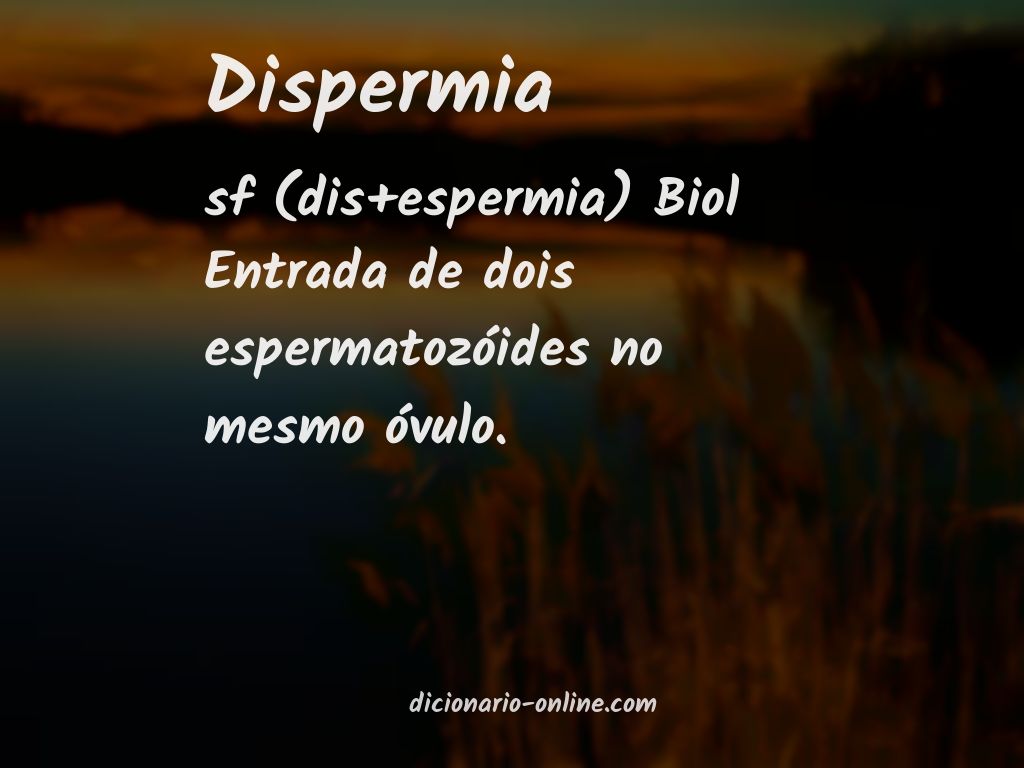 Significado de dispermia