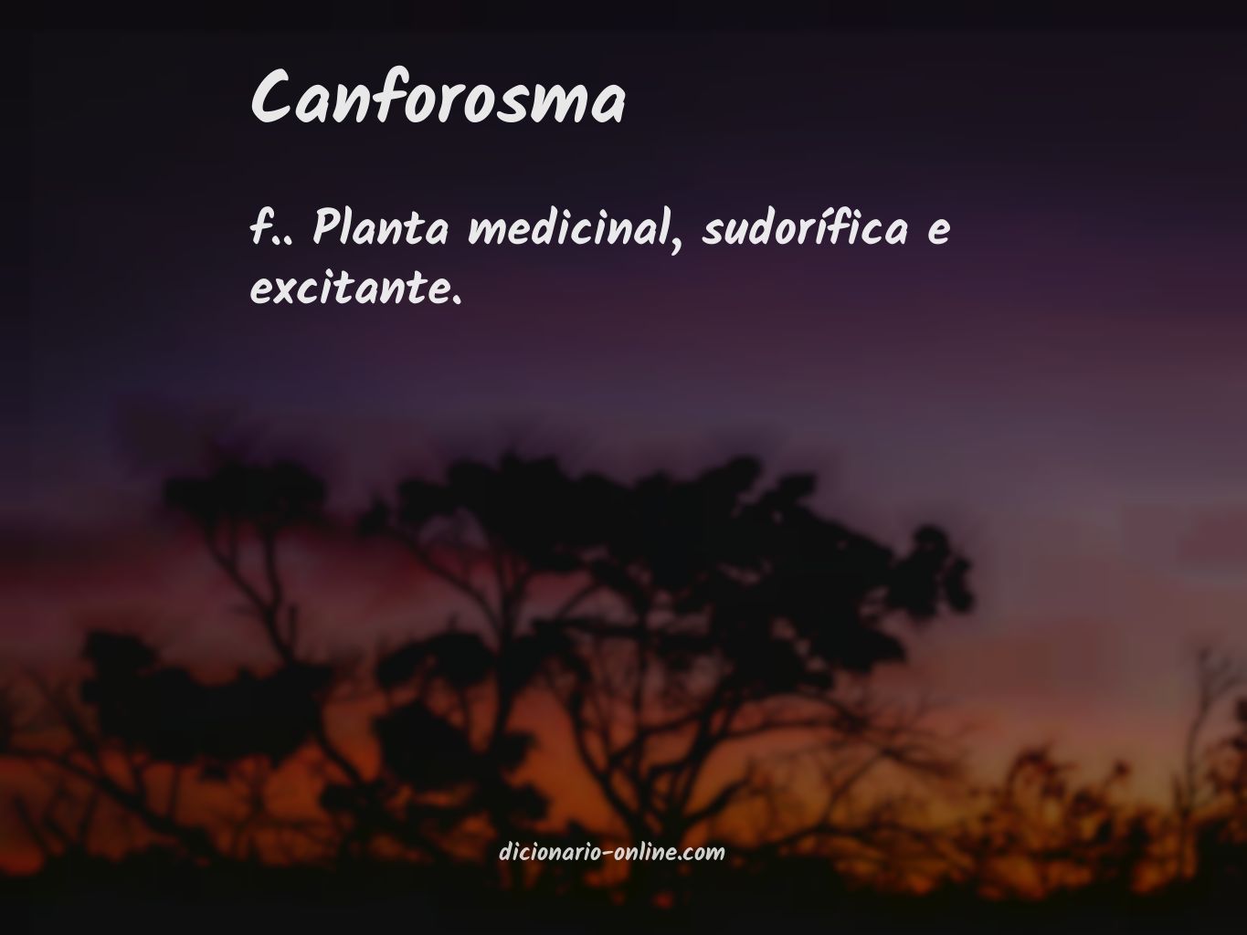 Significado de canforosma