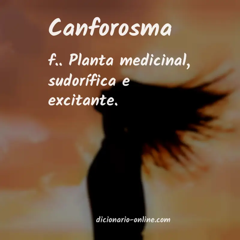 Significado de canforosma