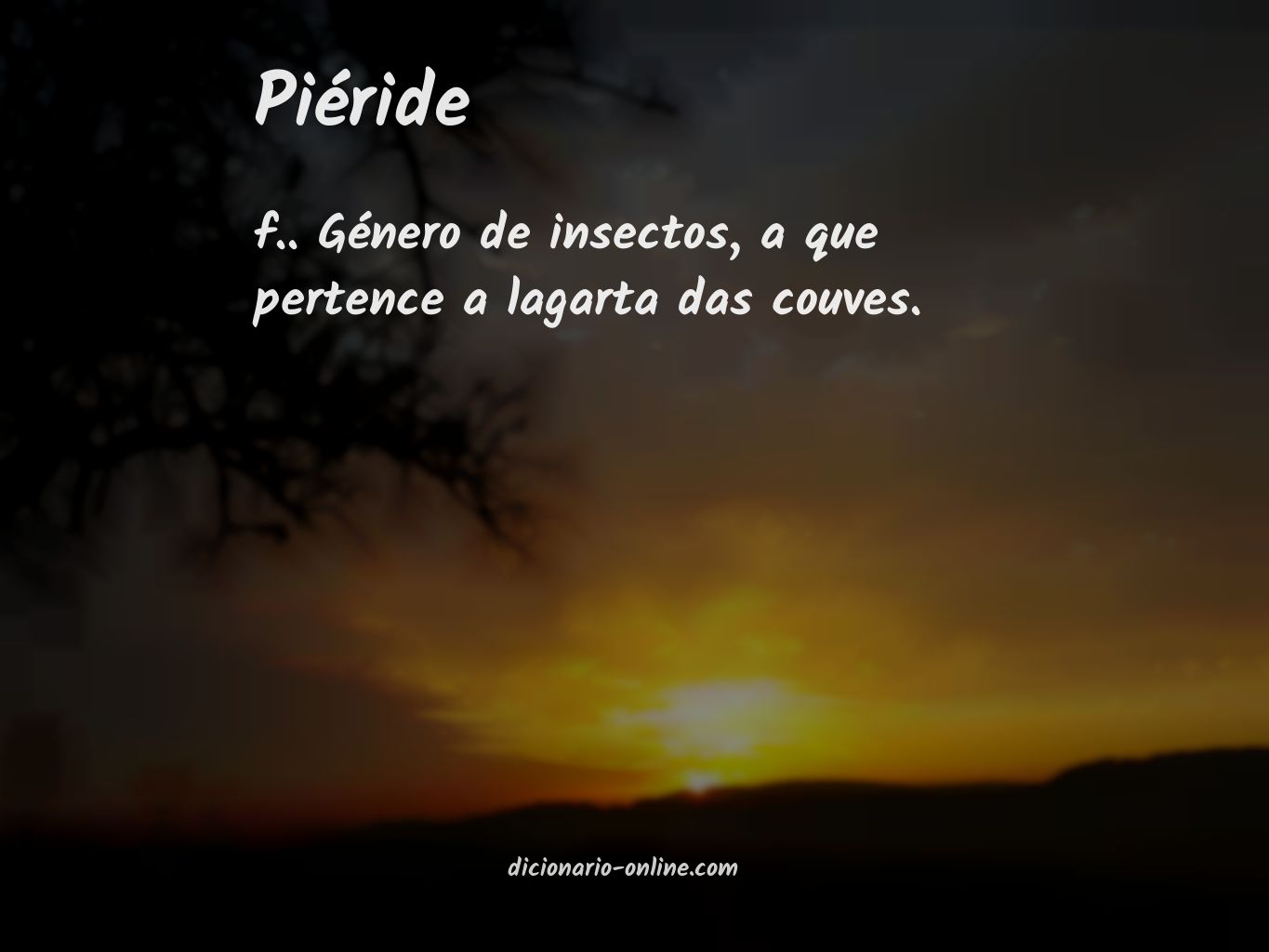 Significado de piéride