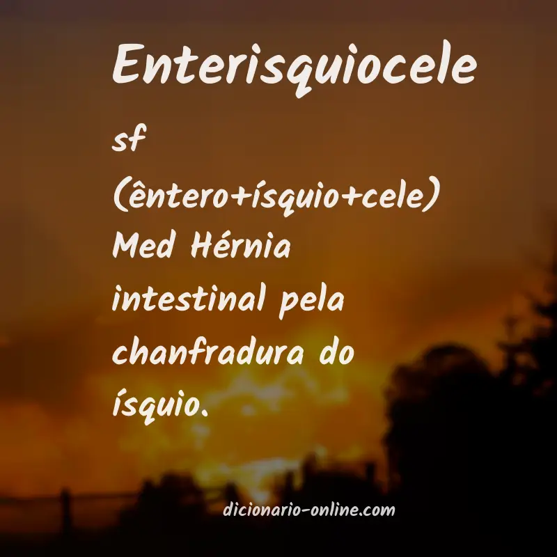 Significado de enterisquiocele