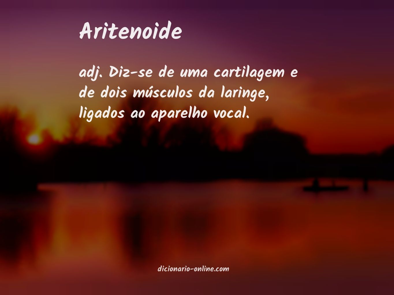 Significado de aritenoide