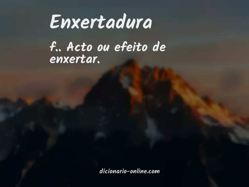 Significado de enxertadura