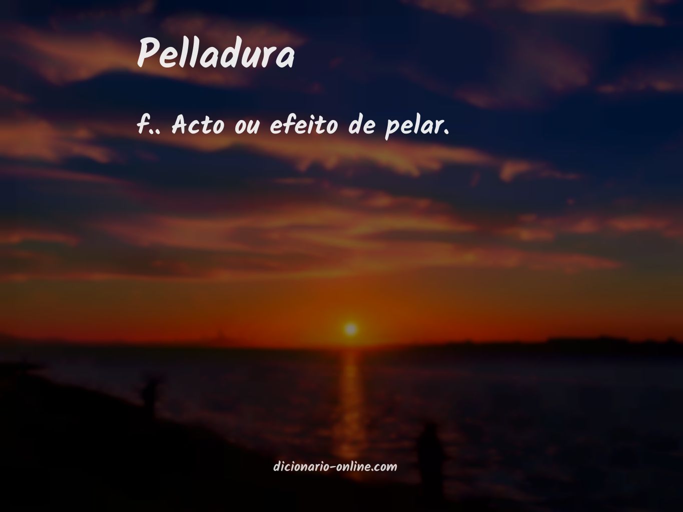 Significado de pelladura