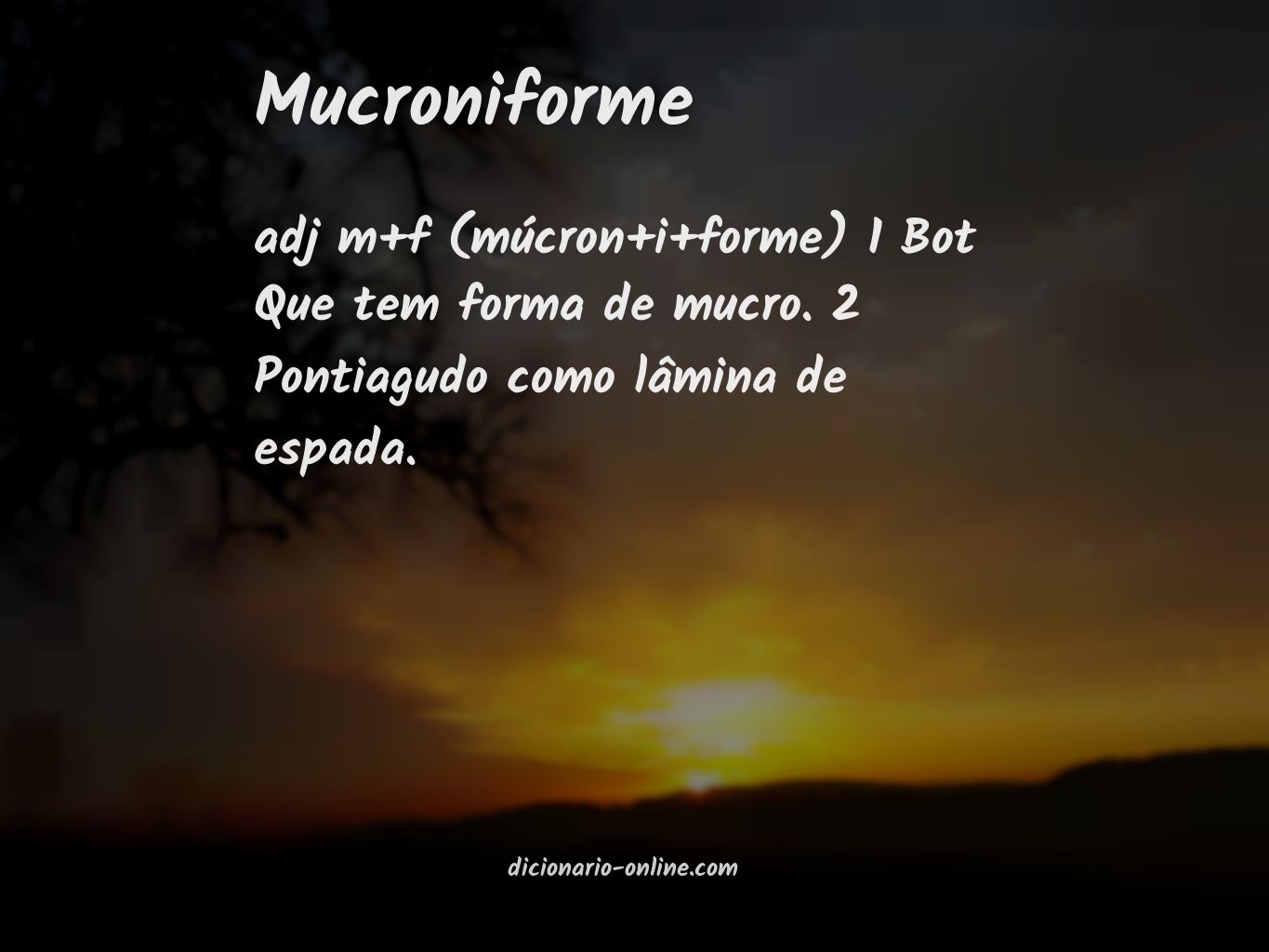 Significado de mucroniforme