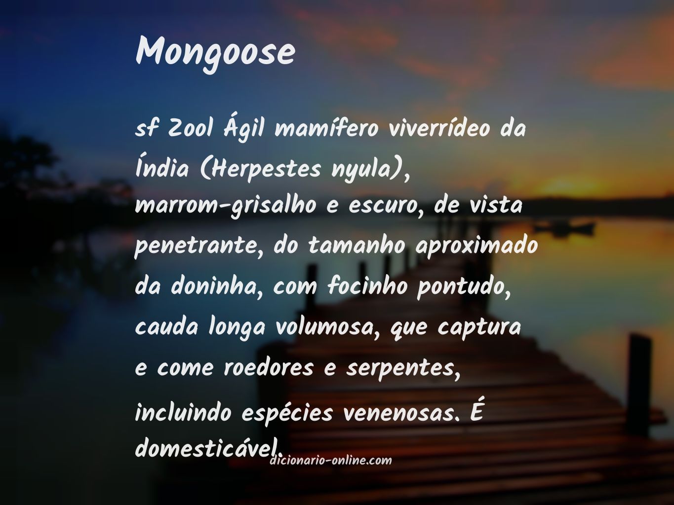 Significado de mongoose