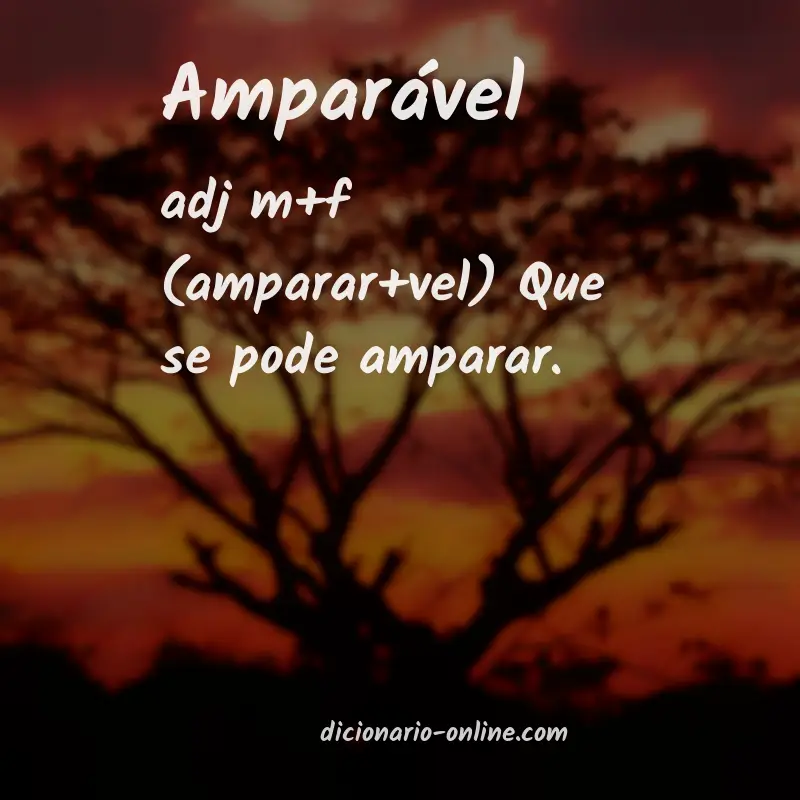 Significado de amparável