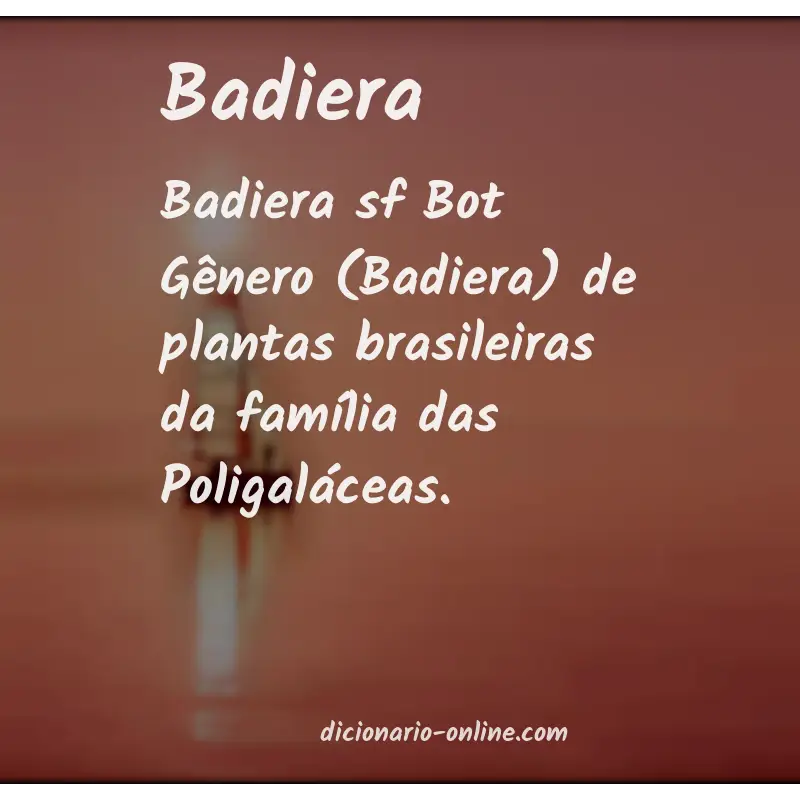 Significado de badiera