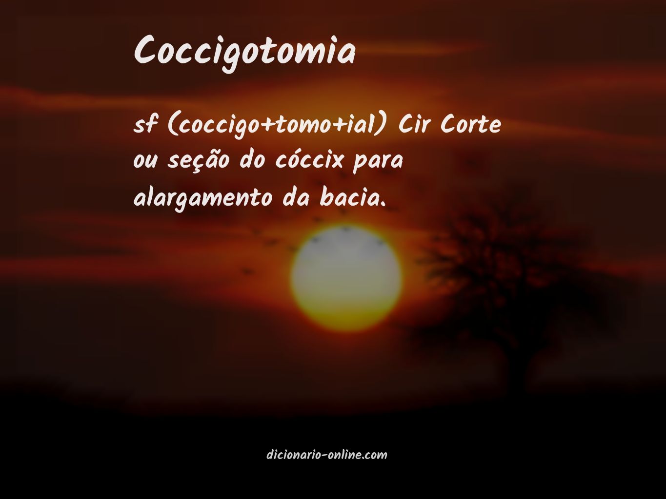 Significado de coccigotomia