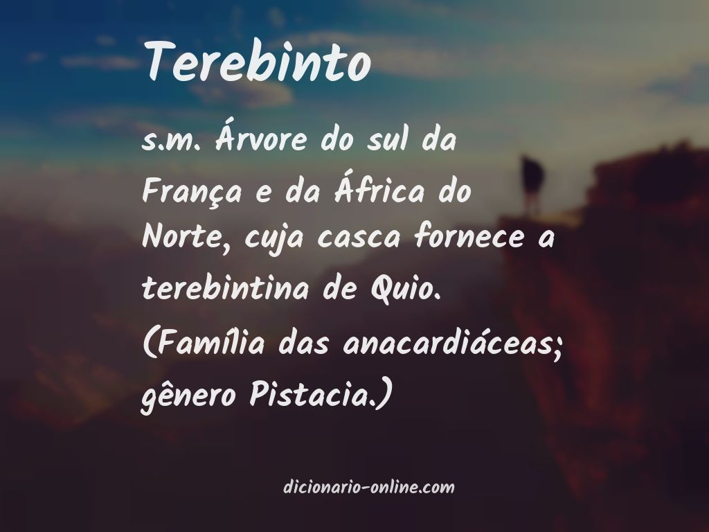 Significado de terebinto