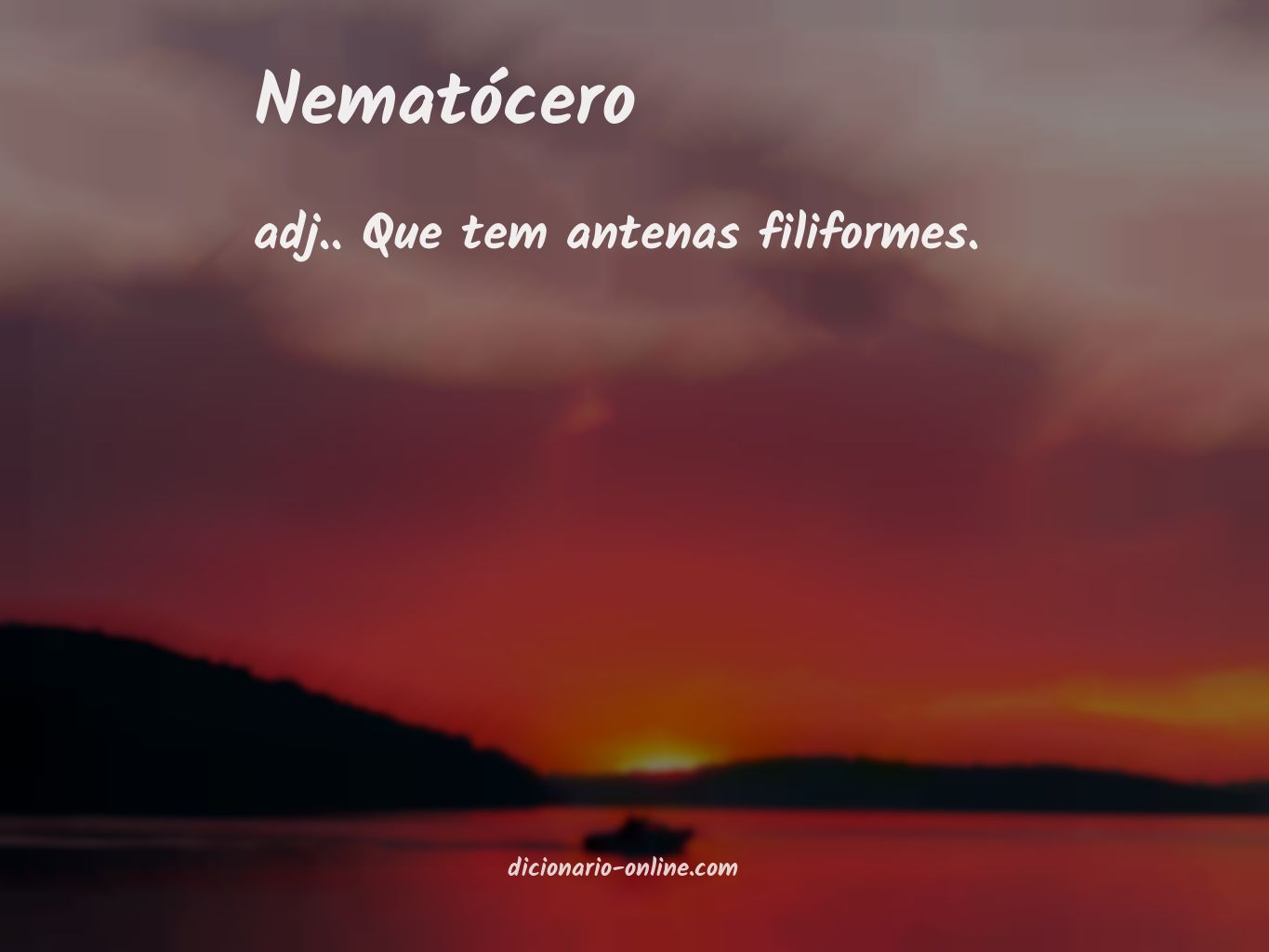 Significado de nematócero