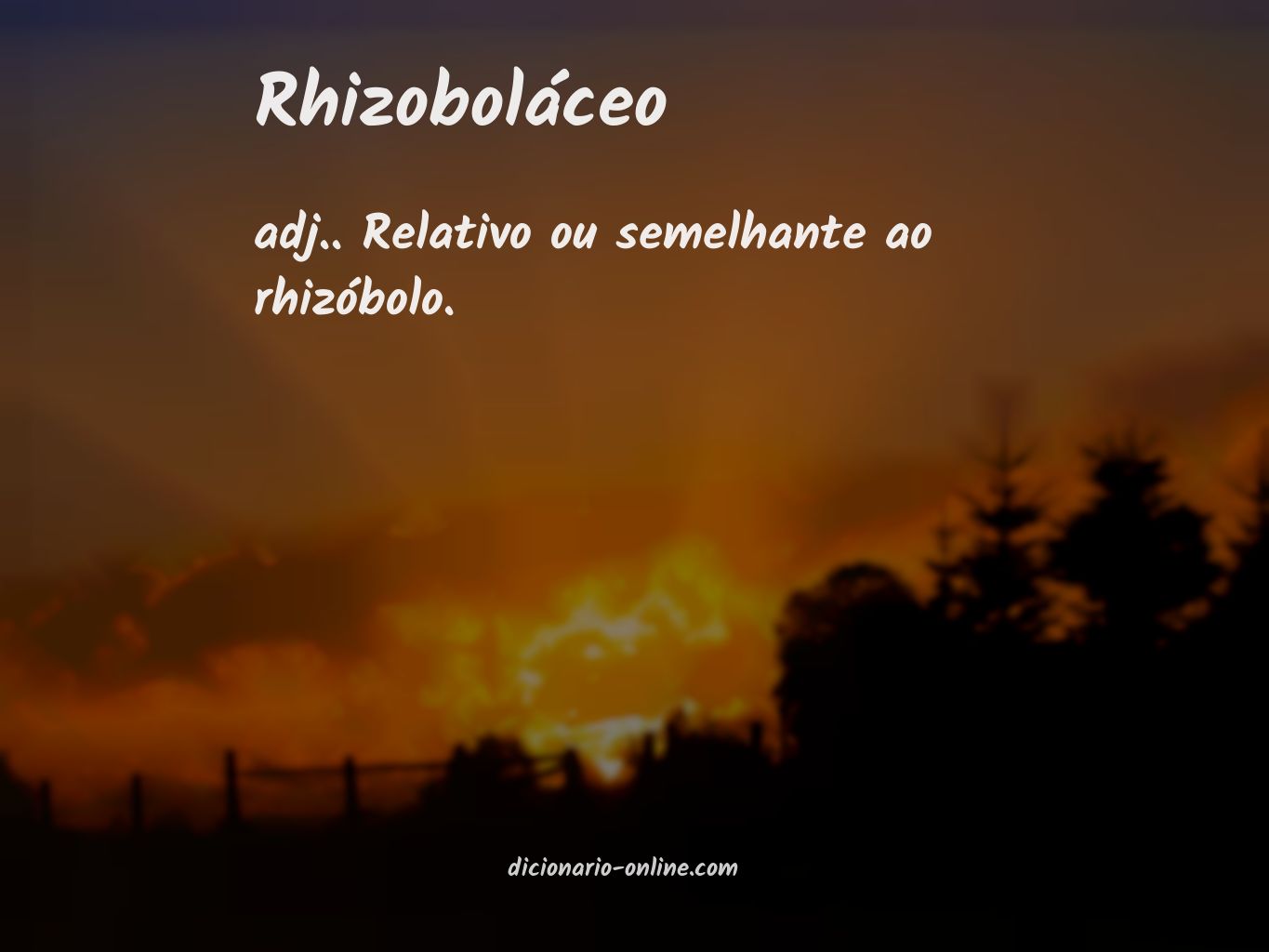 Significado de rhizoboláceo