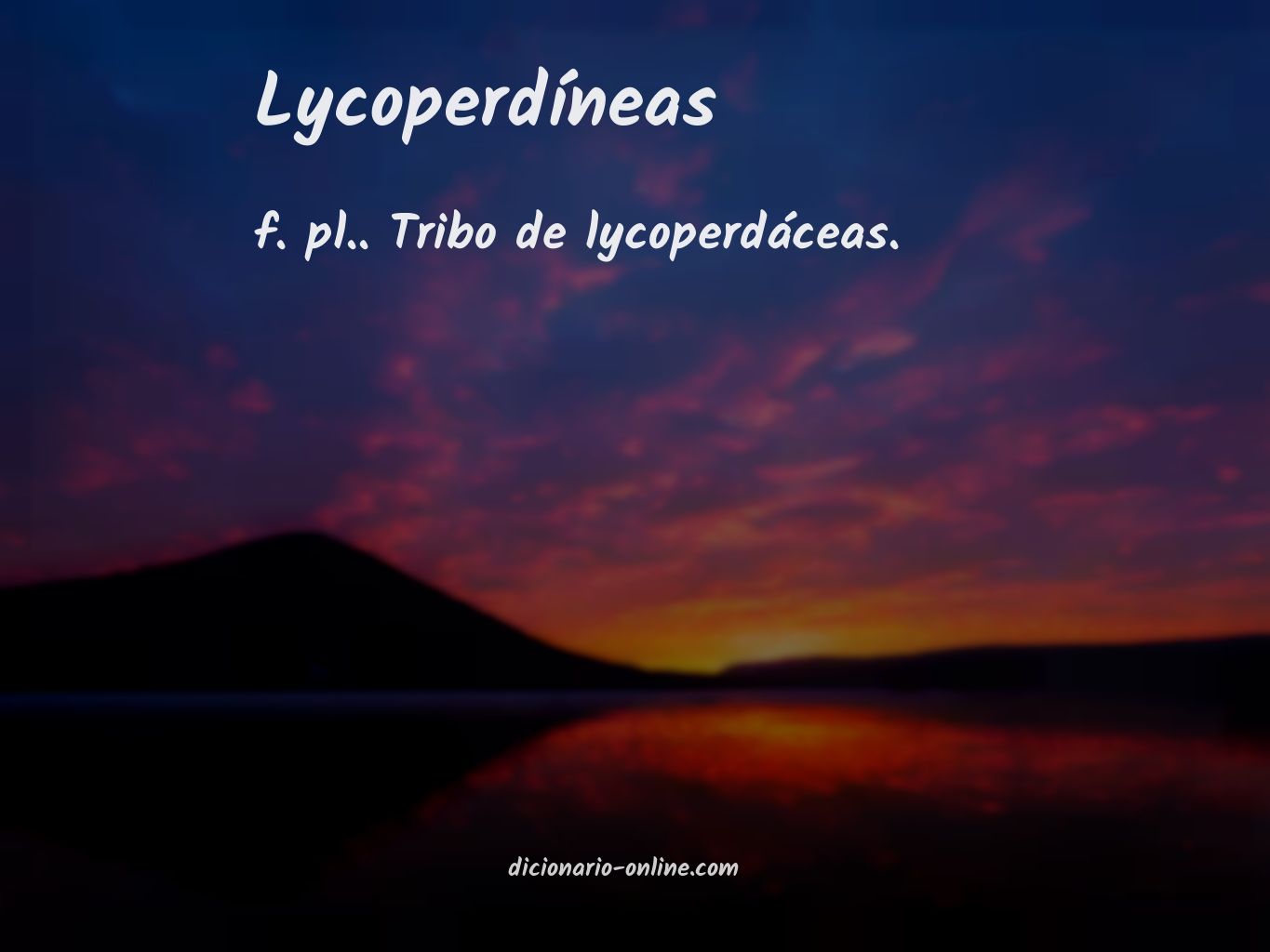 Significado de lycoperdíneas