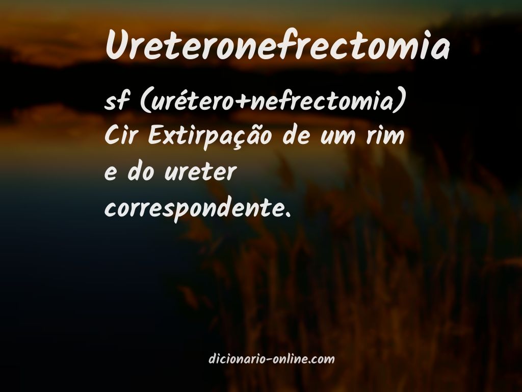 Significado de ureteronefrectomia