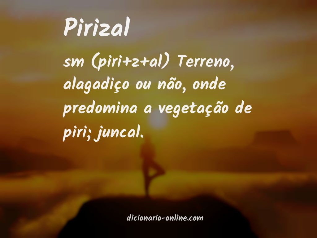 Significado de pirizal