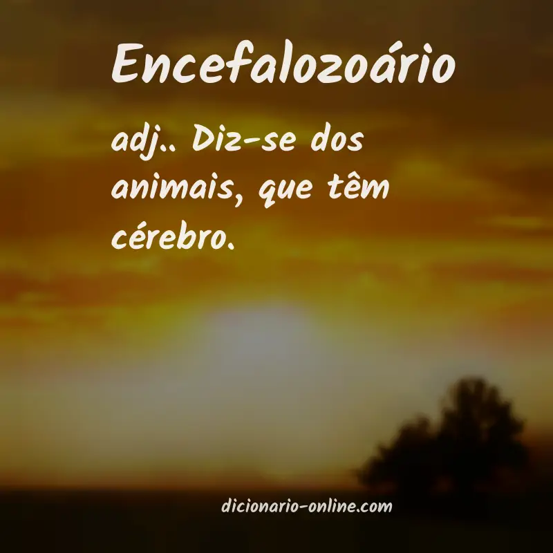 Significado de encefalozoário
