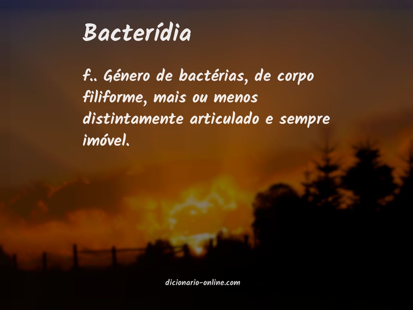 Significado de bacterídia