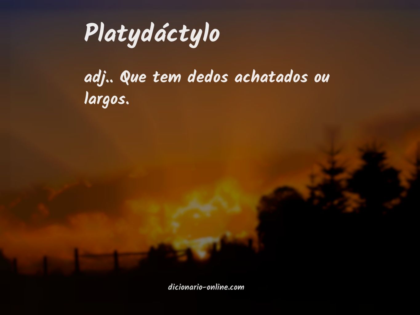 Significado de platydáctylo