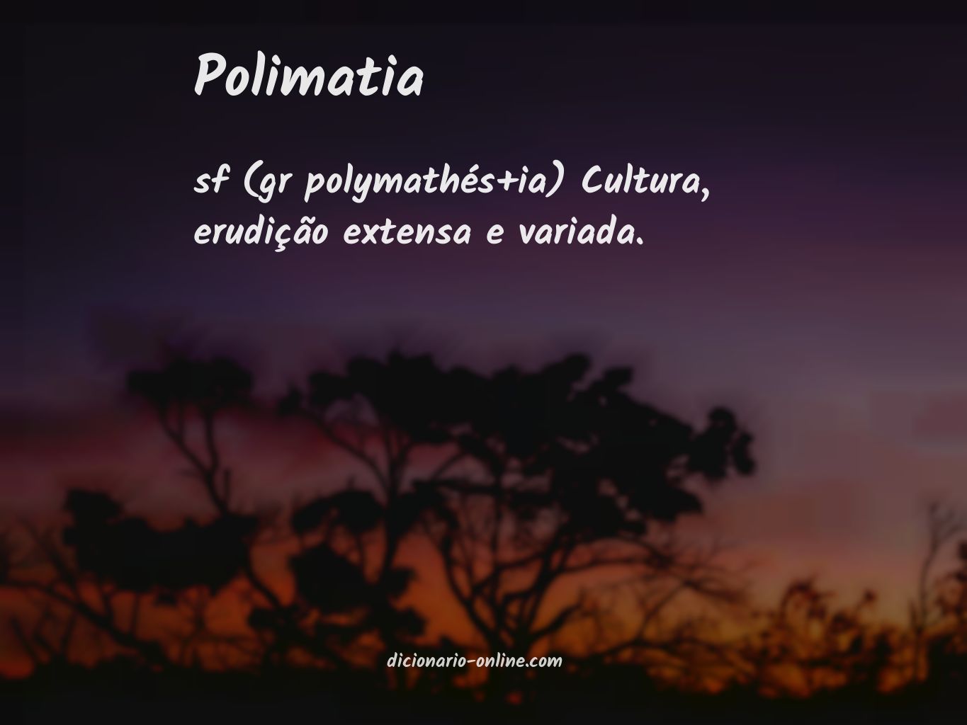 Significado de polimatia