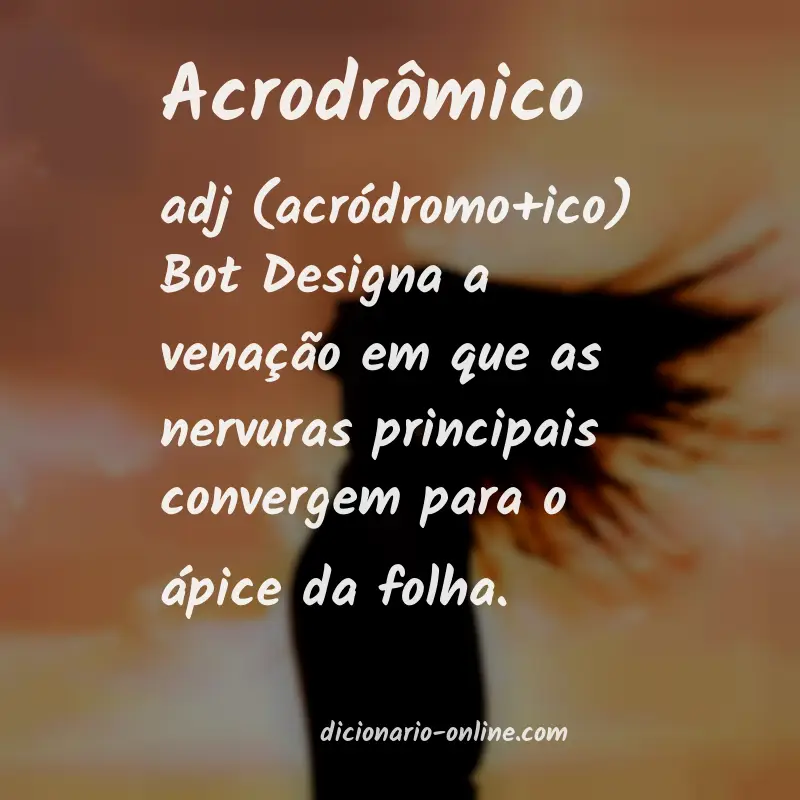 Significado de acrodrômico
