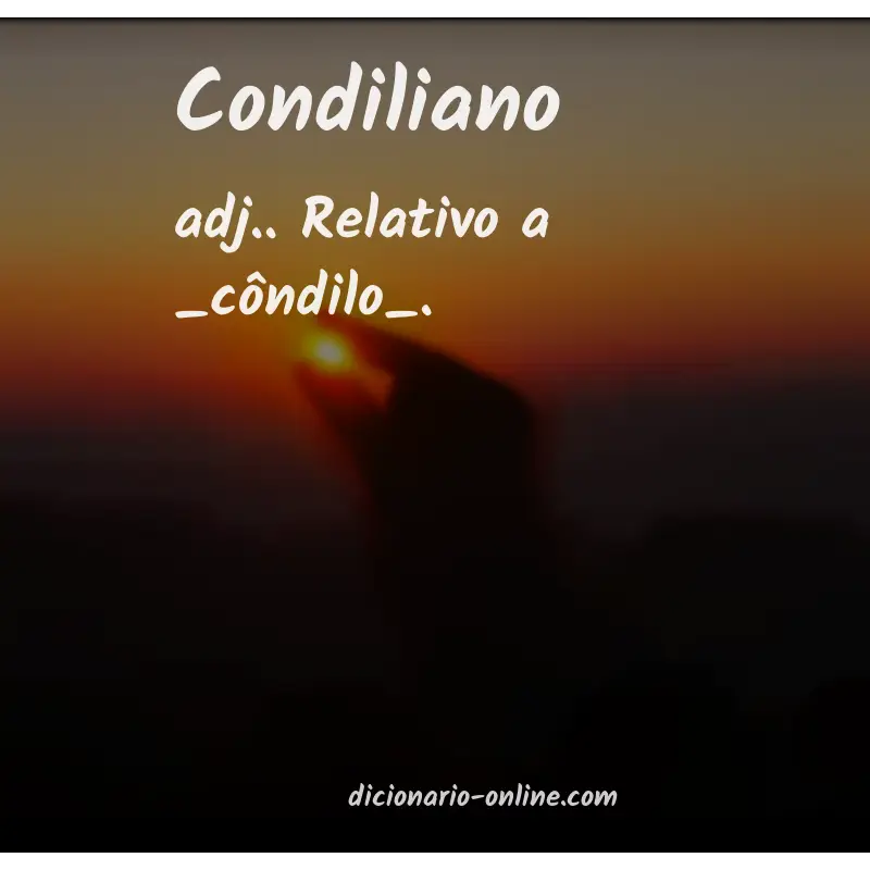 Significado de condiliano