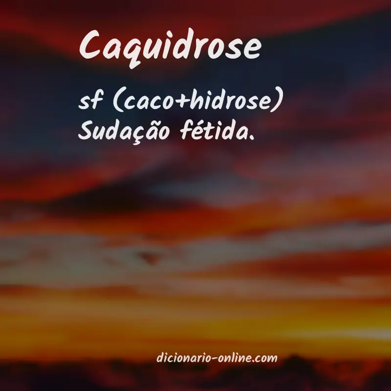 Significado de caquidrose