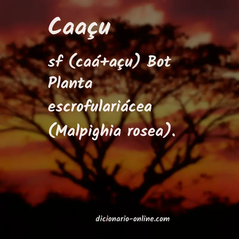 Significado de caaçu