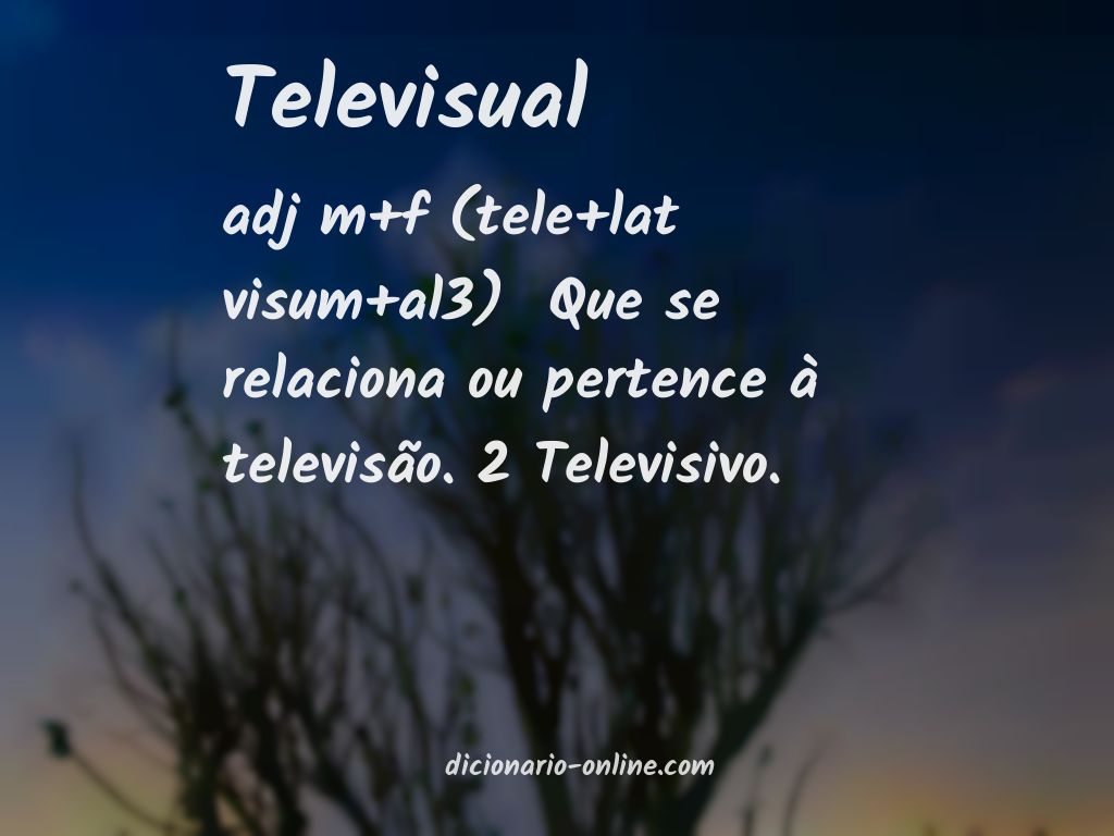 Significado de televisual