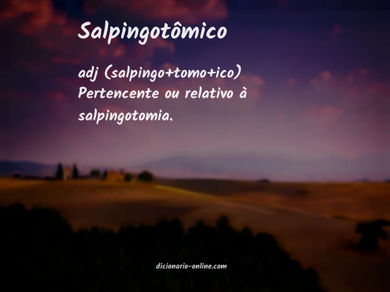 Significado de salpingotômico