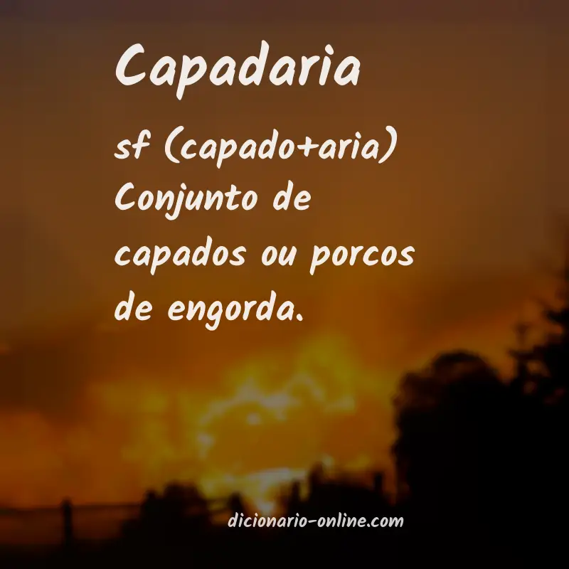 Significado de capadaria