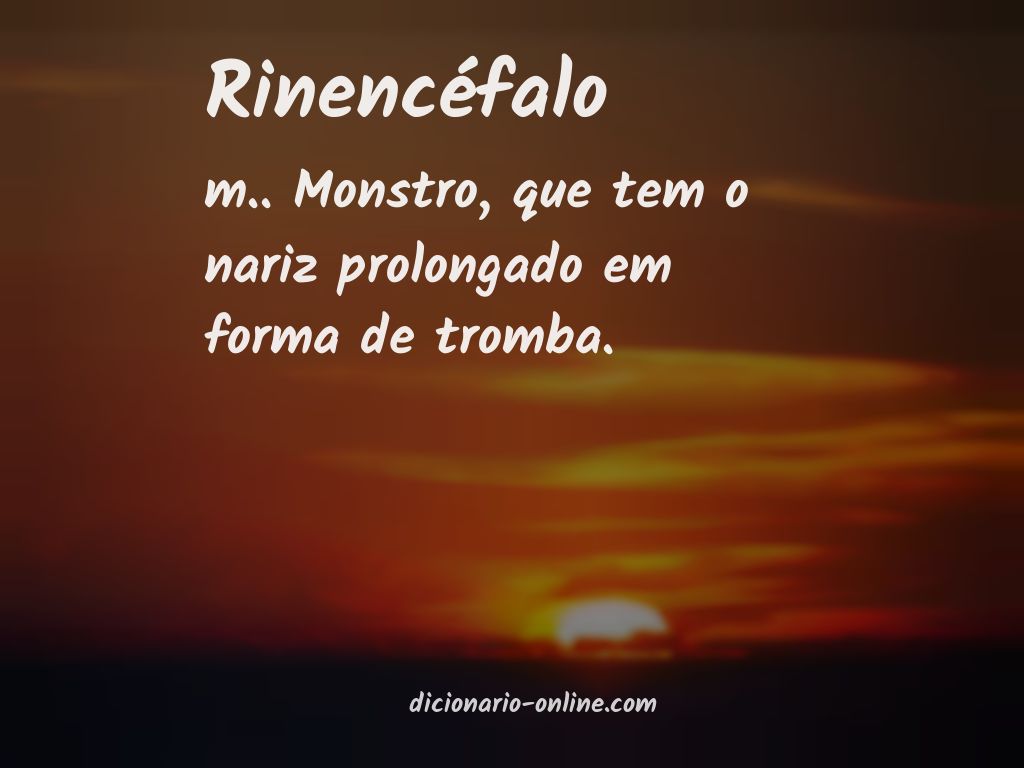 Significado de rinencéfalo