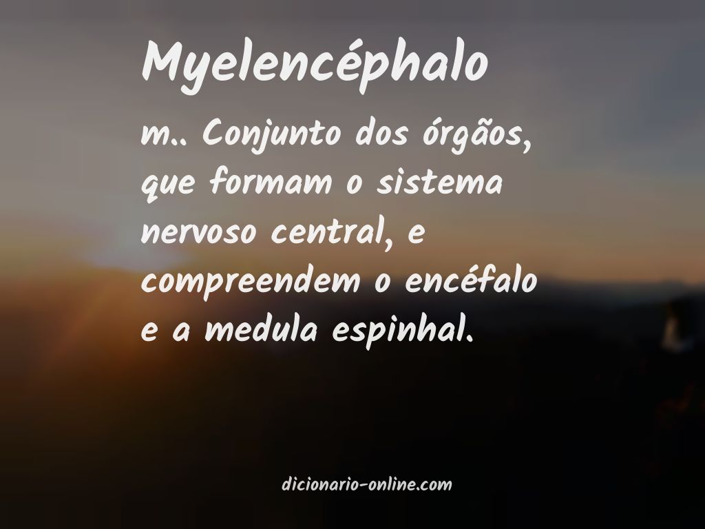 Significado de myelencéphalo