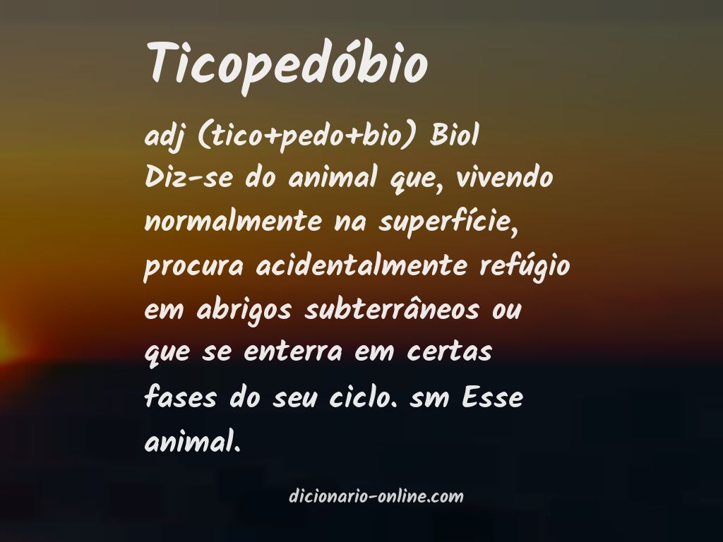 Significado de ticopedóbio