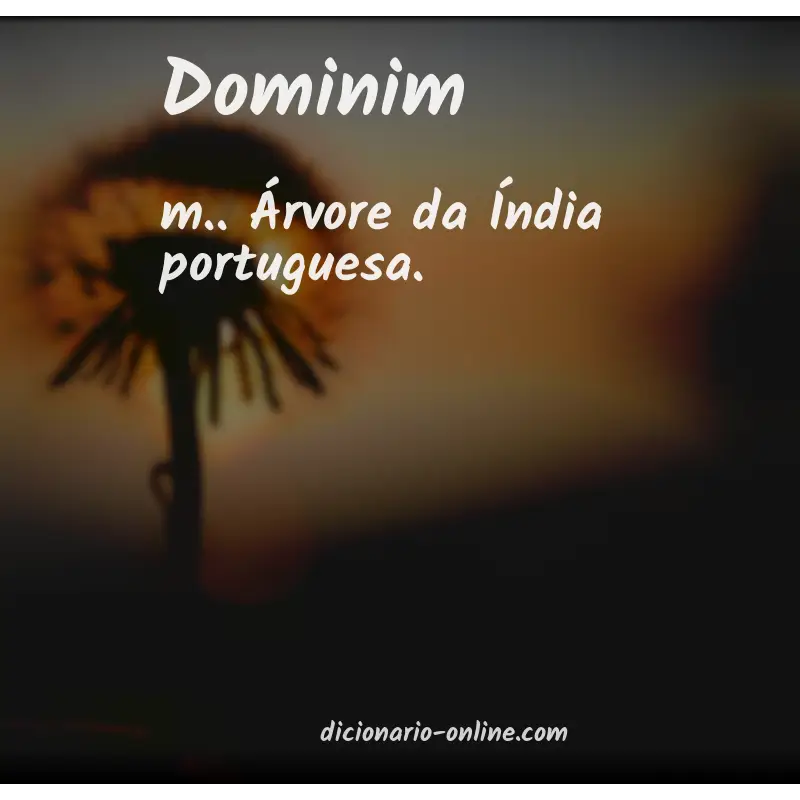 Significado de dominim