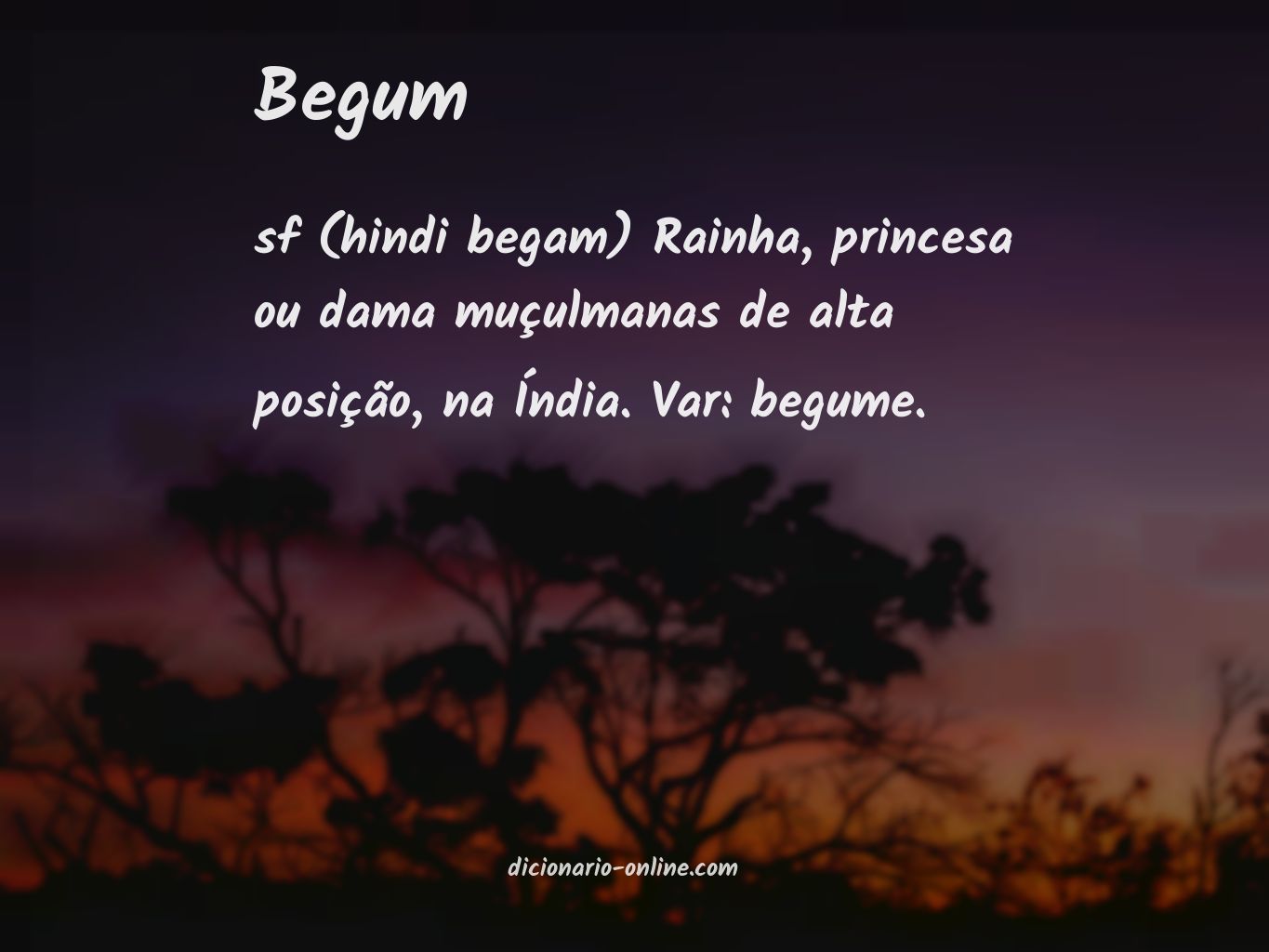 Significado de begum